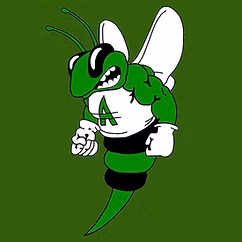 baseball & softball